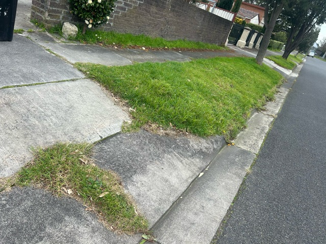 Overgrown nature strip before lawn mowing and edging